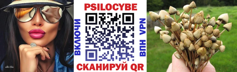 Псилоцибиновые грибы Magic Shrooms  Купить закладки  Нолинск 